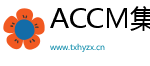 ACCM集团